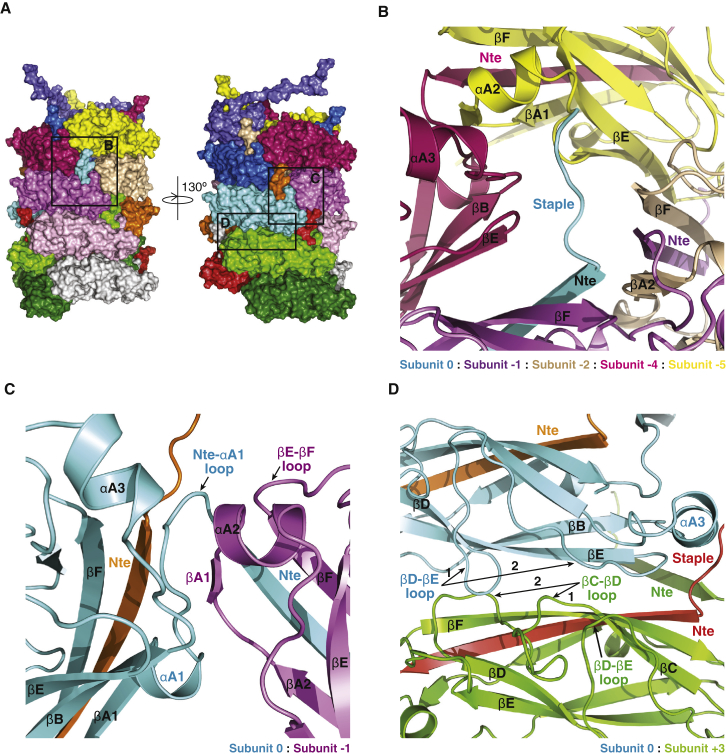 Figure 3