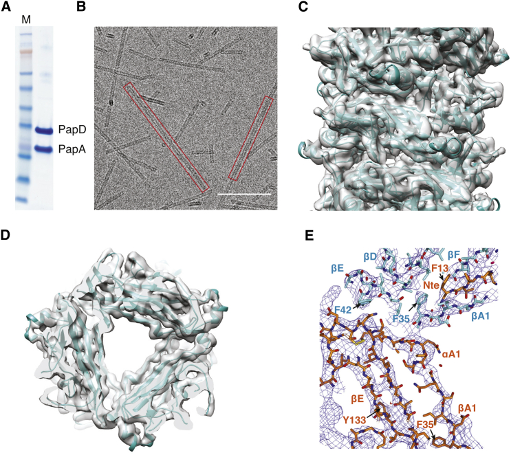 Figure 1