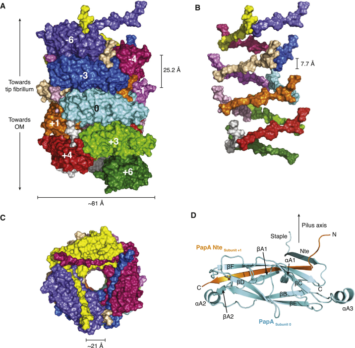 Figure 2