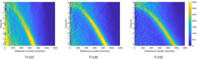 Figure 5—figure supplement 1.