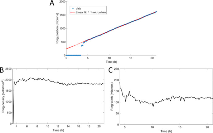 Figure 1—figure supplement 3.