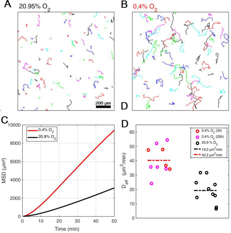 Figure 2—figure supplement 8.