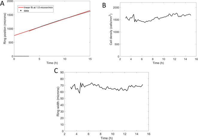 Figure 4—figure supplement 2.