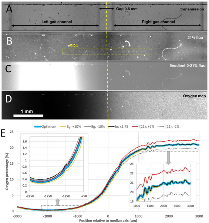 Figure 2—figure supplement 1.