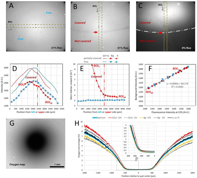 Figure 2—figure supplement 3.