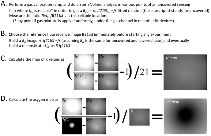 Figure 2—figure supplement 4.