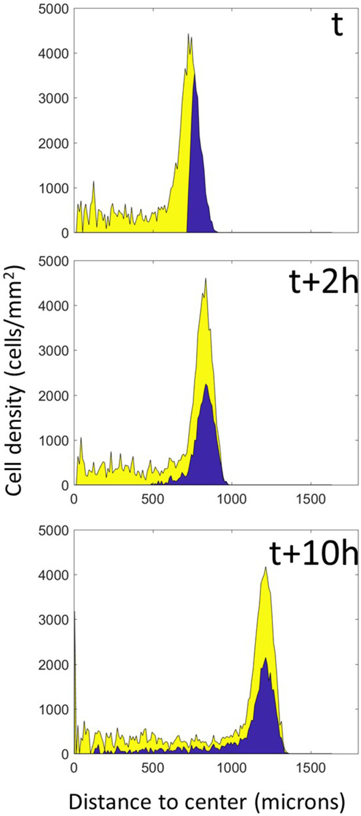 Figure 7—figure supplement 1.