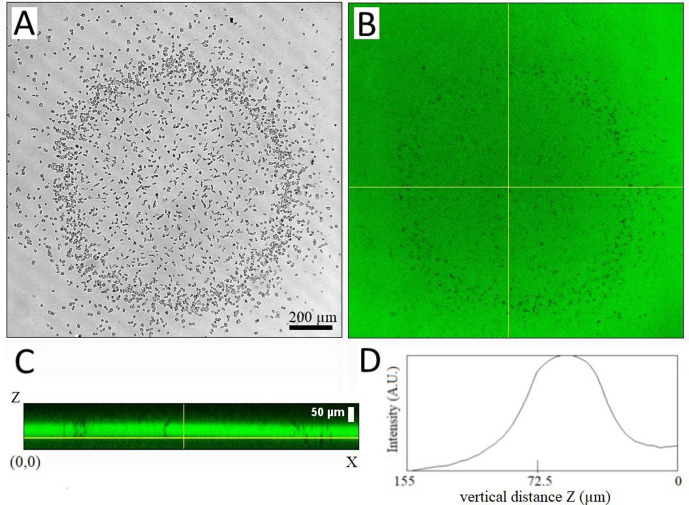 Figure 1—figure supplement 1.