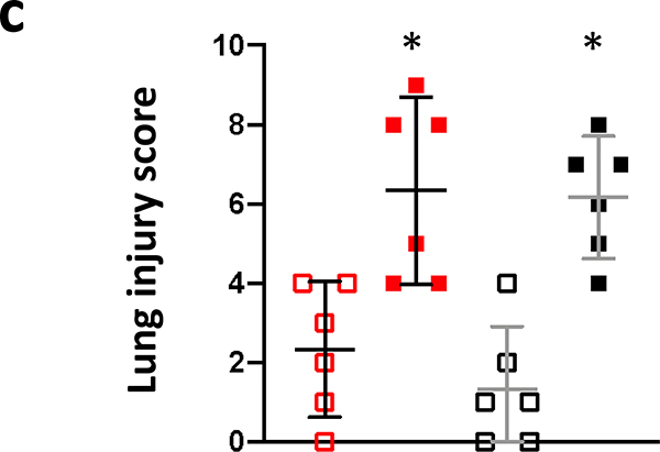 Figure 8a.