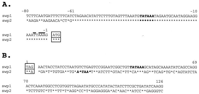 FIG. 6