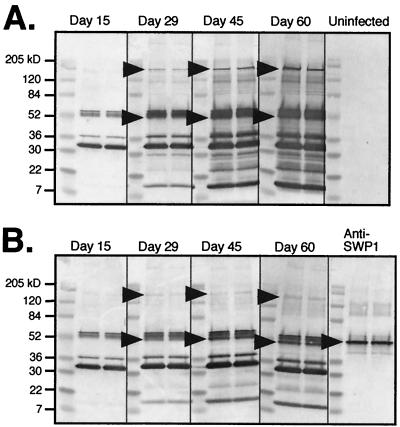 FIG. 9