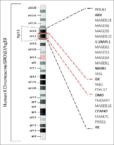 Figure 2.