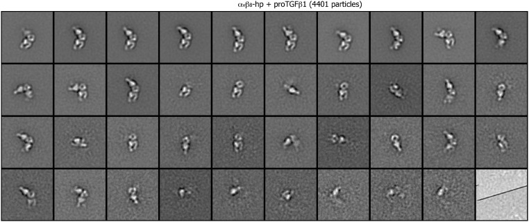 Fig. S8.