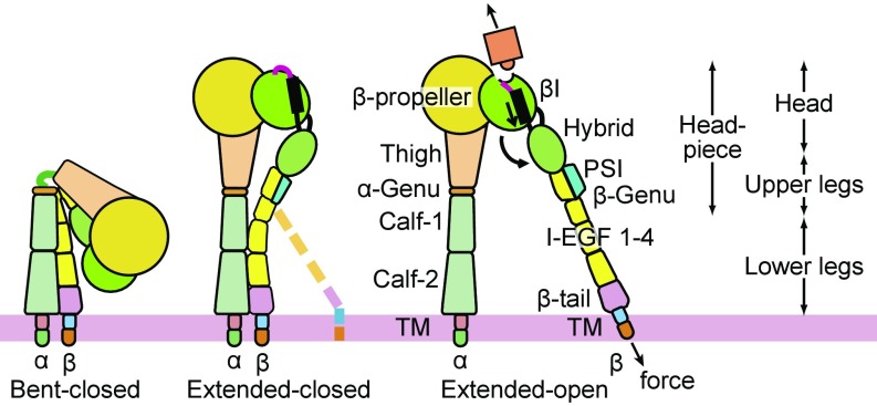 Fig. 1.