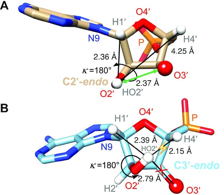 Figure 13.