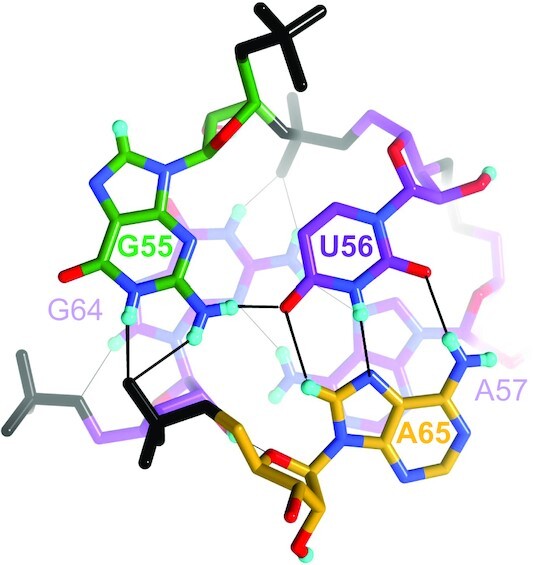 Figure 4.