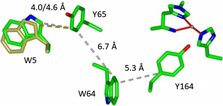 Fig. 6