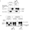 FIG. 4.