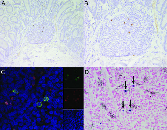 FIG. 8.