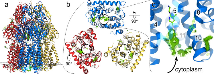 Fig. 3