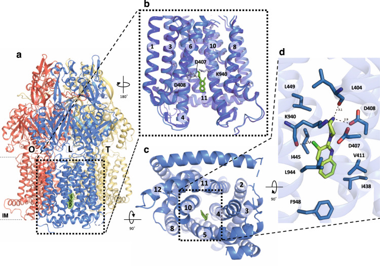 Fig. 2