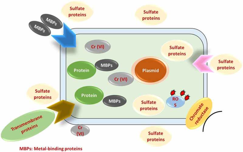 Figure 5.