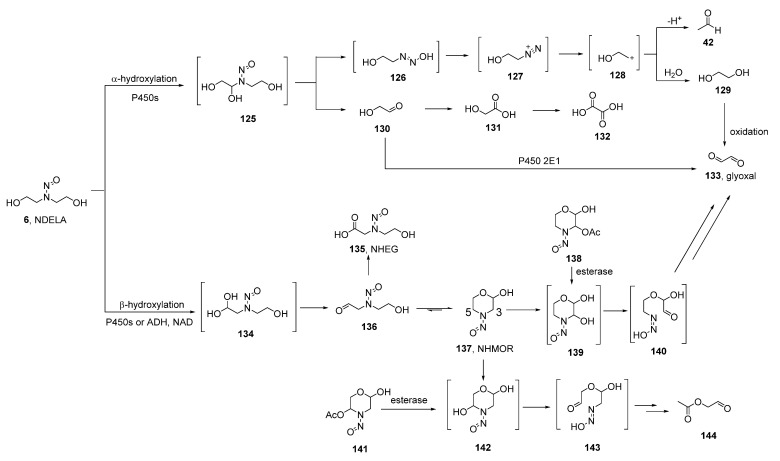 Scheme 6