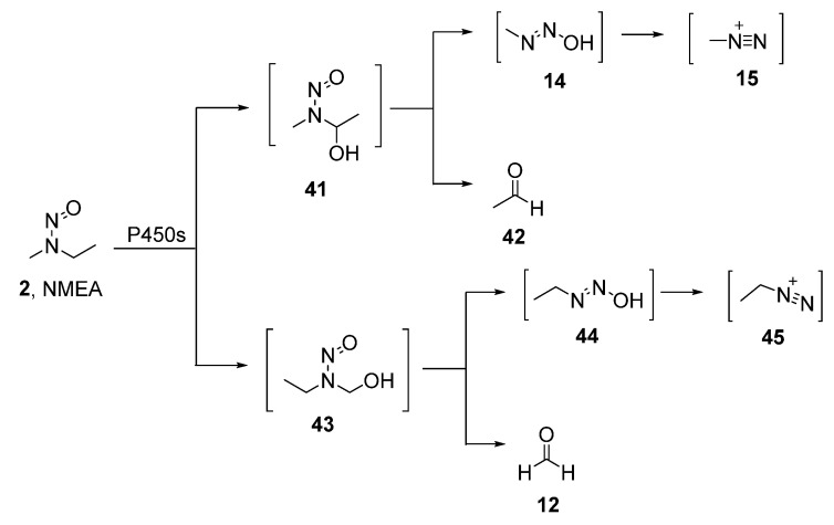 Scheme 2