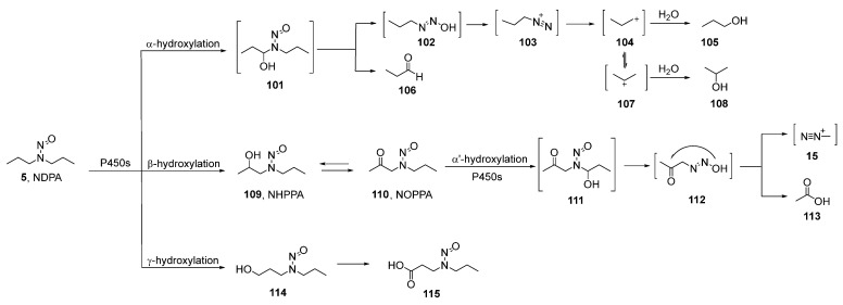 Scheme 5