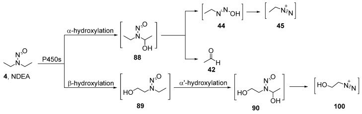 Scheme 4