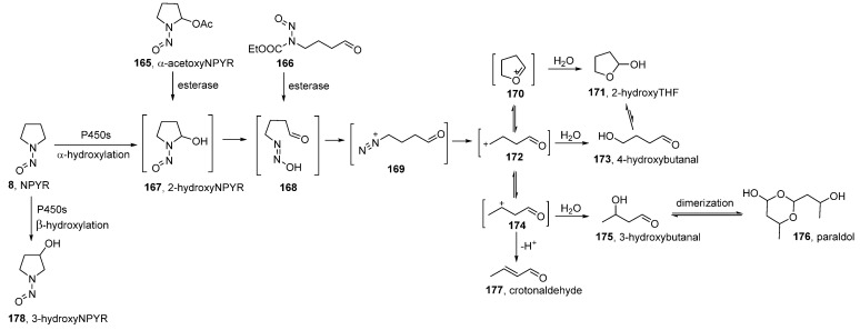 Scheme 8