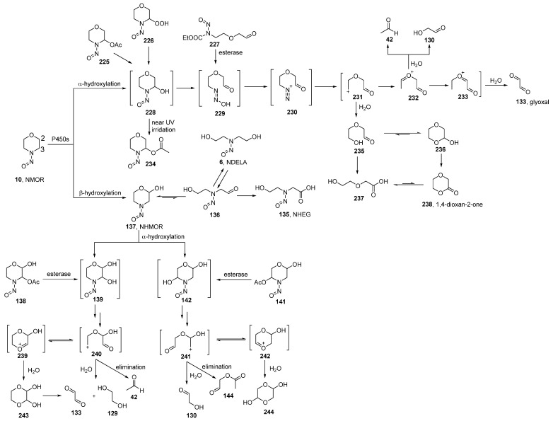 Scheme 10