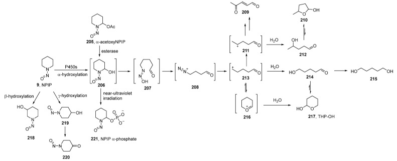 Scheme 9