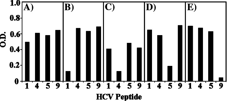 Fig. 1