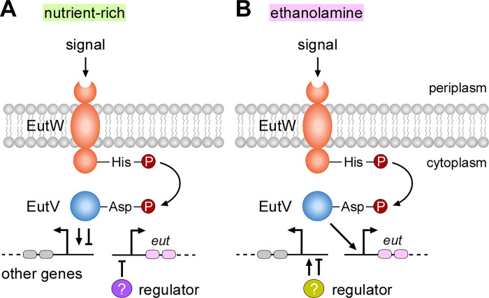 Figure 7: