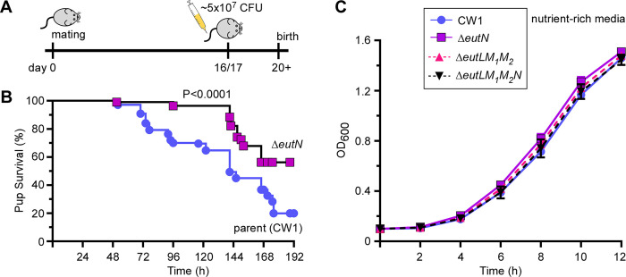 Figure 6: