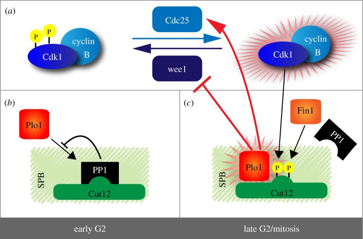 Figure 2.