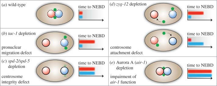 Figure 3.