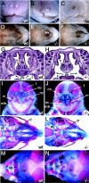 FIG. 7.