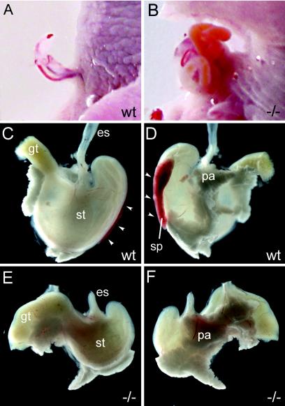 FIG. 9.