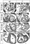 FIG. 5.