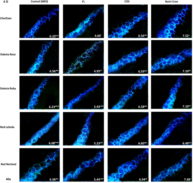 Figure 3