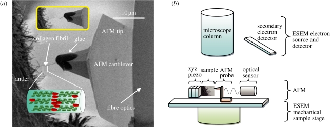 Figure 1.