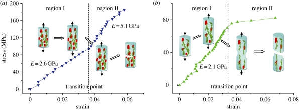 Figure 5.