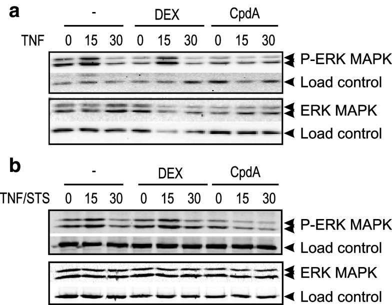 Fig. 6