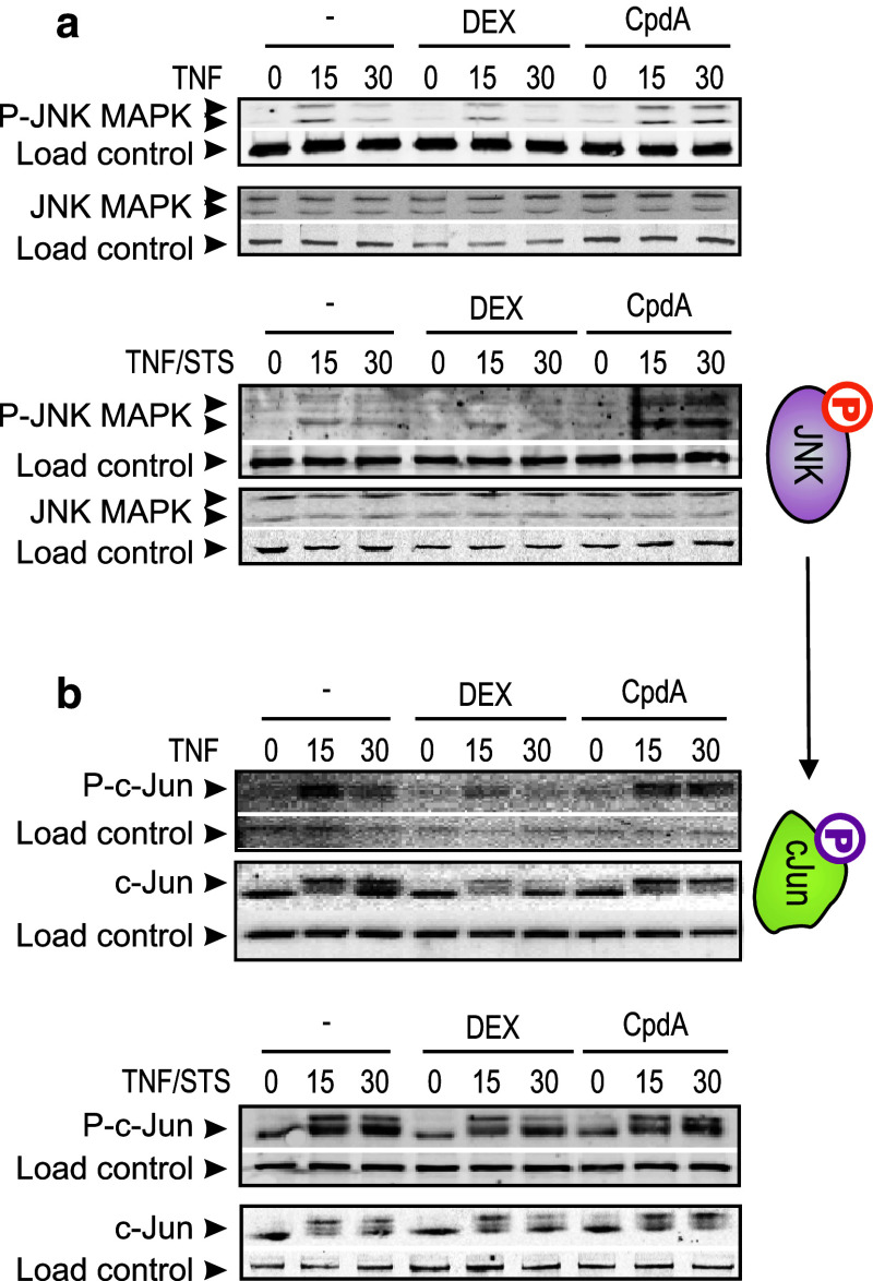 Fig. 7