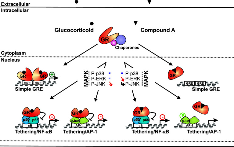 Fig. 11