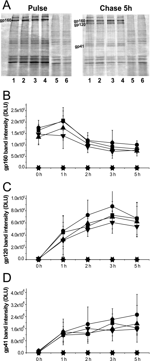 FIG. 2.