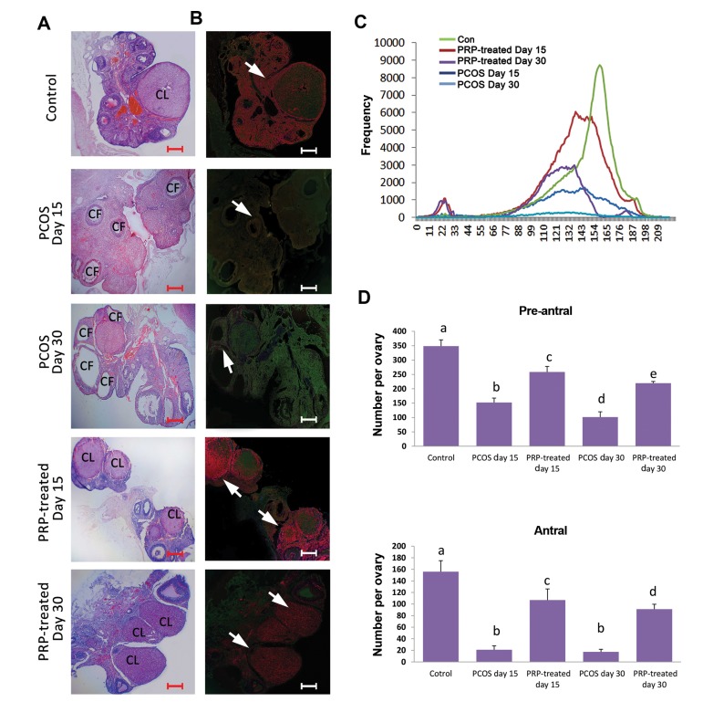 Fig.2