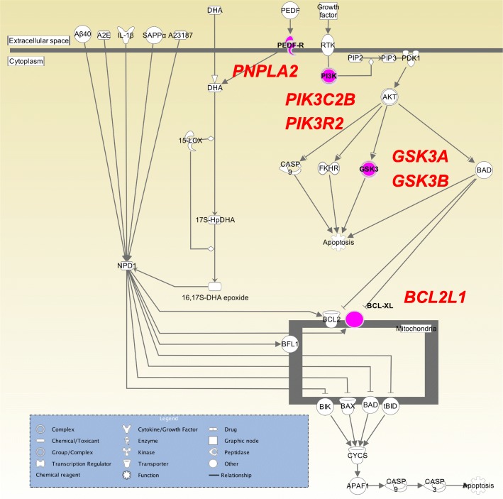 Fig. 4